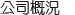 公司概況